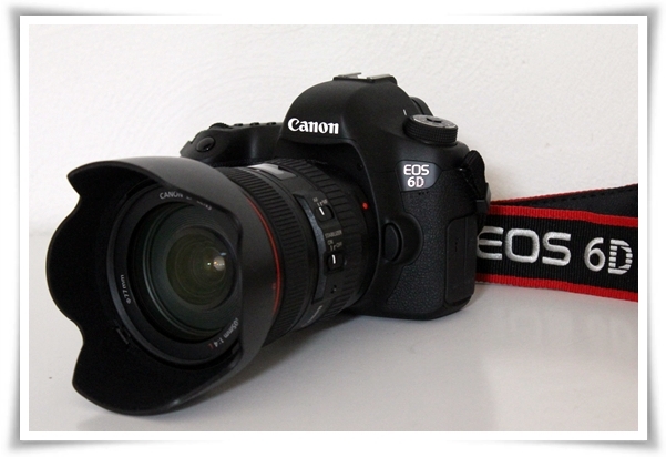 キミと一緒に ～太郎・小太郎・お弁当～