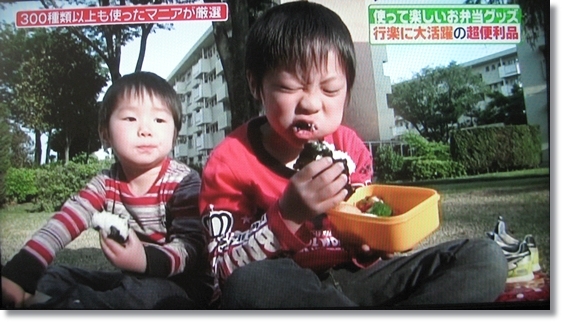 キミと一緒に ~太郎・小太郎・お弁当~