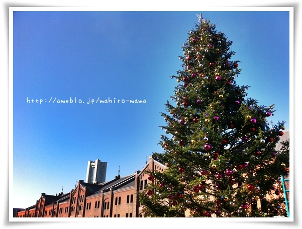 キミと一緒に ~太郎・小太郎・お弁当~