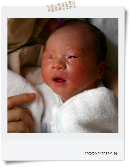 キミと一緒に ～太郎・小太郎・お弁当～