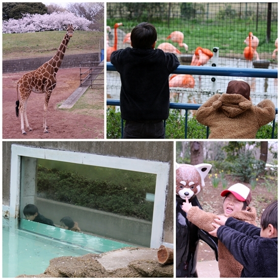 キミと一緒に ~太郎・小太郎・お弁当~