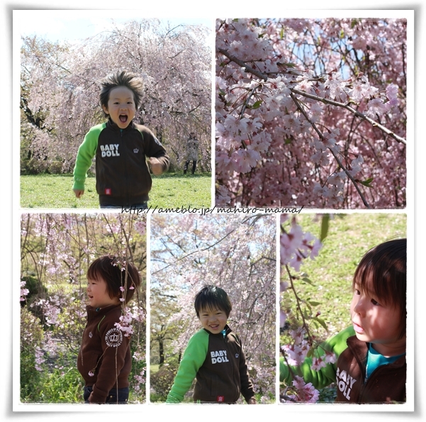 キミと一緒に ~太郎・小太郎・お弁当~