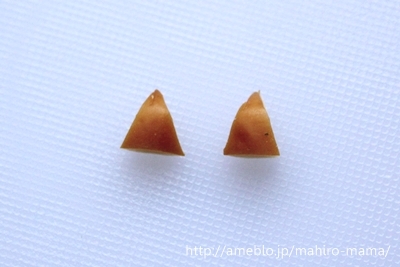 キミと一緒に ～太郎・小太郎・お弁当～