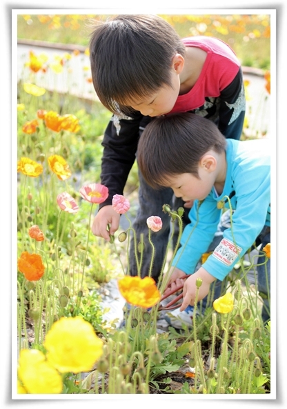 キミと一緒に ～太郎・小太郎・お弁当～