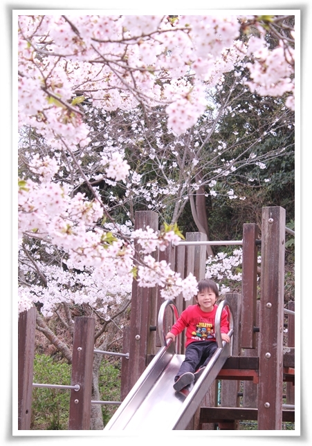 キミと一緒に ～太郎・小太郎・お弁当～