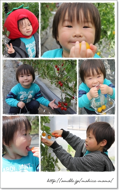 キミと一緒に ～太郎・小太郎・お弁当～