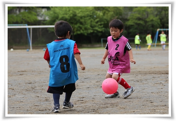 キミと一緒に ～太郎・小太郎・お弁当～