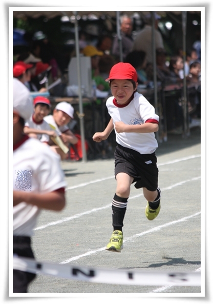 キミと一緒に ～太郎・小太郎・お弁当～