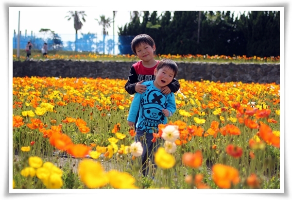 キミと一緒に ～太郎・小太郎・お弁当～