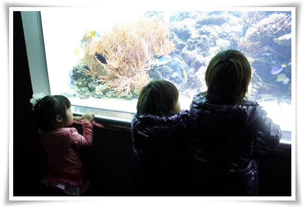 キミと一緒に ～太郎・小太郎・お弁当～