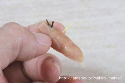 キミと一緒に ~太郎・小太郎・お弁当~