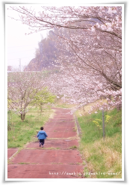 キミと一緒に ～太郎・小太郎・お弁当～