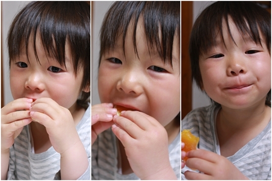 キミと一緒に ～太郎・小太郎・お弁当～