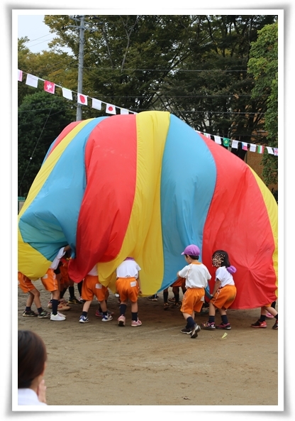 キミと一緒に ～太郎・小太郎・お弁当～