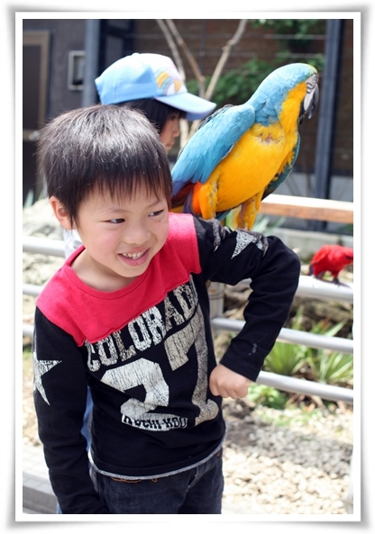 キミと一緒に ～太郎・小太郎・お弁当～