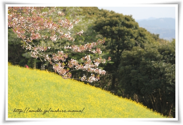 キミと一緒に ～太郎・小太郎・お弁当～