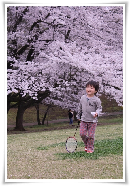 キミと一緒に ～太郎・小太郎・お弁当～