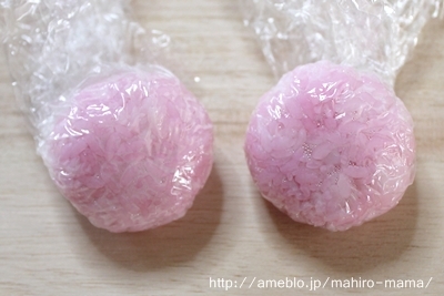 キミと一緒に ～太郎・小太郎・お弁当～