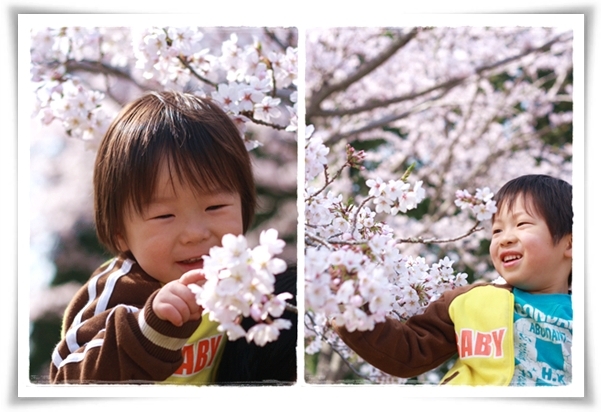 キミと一緒に ～太郎・小太郎・お弁当～
