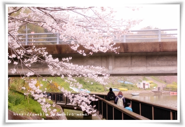 キミと一緒に ～太郎・小太郎・お弁当～