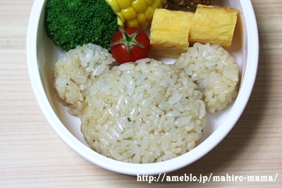 キミと一緒に ～太郎・小太郎・お弁当～