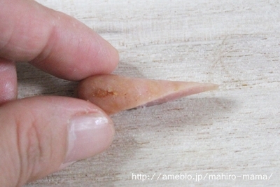 キミと一緒に ~太郎・小太郎・お弁当~