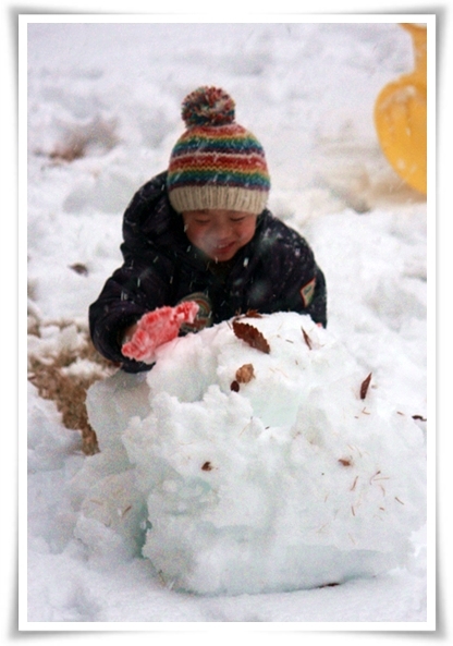 キミと一緒に ～太郎・小太郎・お弁当～