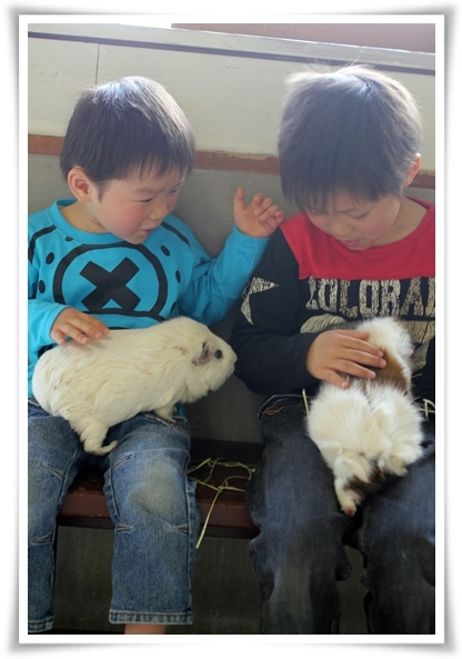 キミと一緒に ～太郎・小太郎・お弁当～