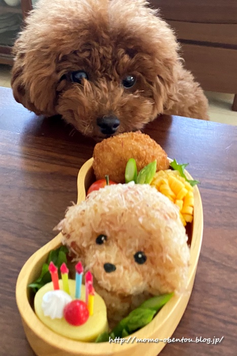 キャラ弁 ライブドアブログ公式ブログ5周年おめでとう のトイプードル弁当 Momo S Obentou キャラ弁 Powered By ライブドアブログ