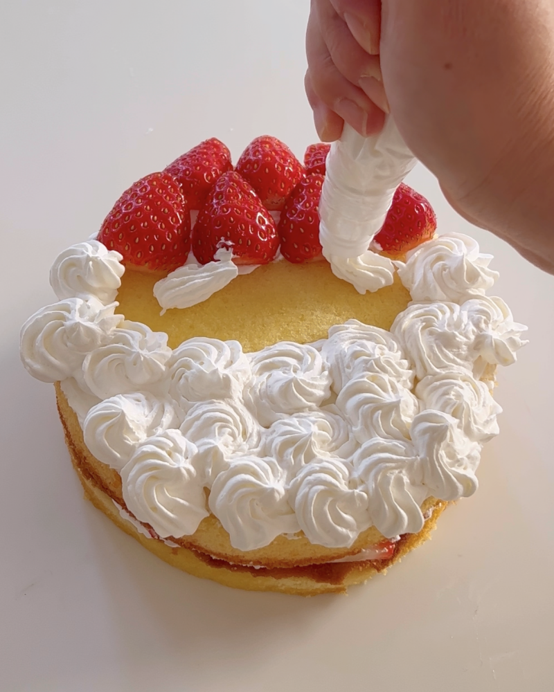 20分で出来ちゃうサンタクロースケーキ＊クリスマスケーキ[PR