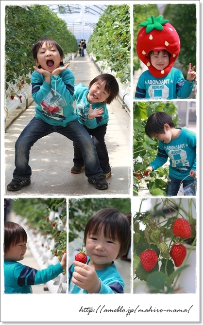 キミと一緒に ～太郎・小太郎・お弁当～