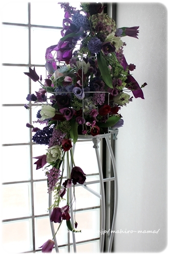 キミと一緒に ～太郎・小太郎・お弁当～