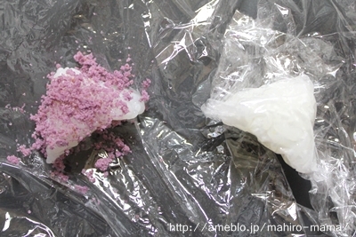 キミと一緒に ～太郎・小太郎・お弁当～