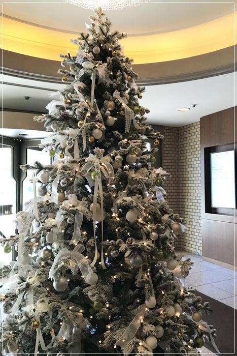 20171210_171210_0005