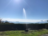 IMG_7967