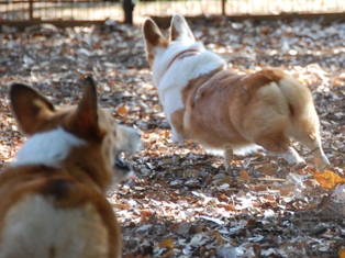 ���������ä��ʸ����