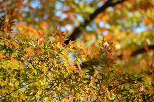 �塹�ڸ���ι���