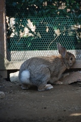 ̾��Τ�����