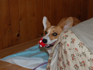 ���ܡ��룱