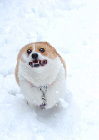 たのすぃ〜ね〜