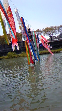 こい