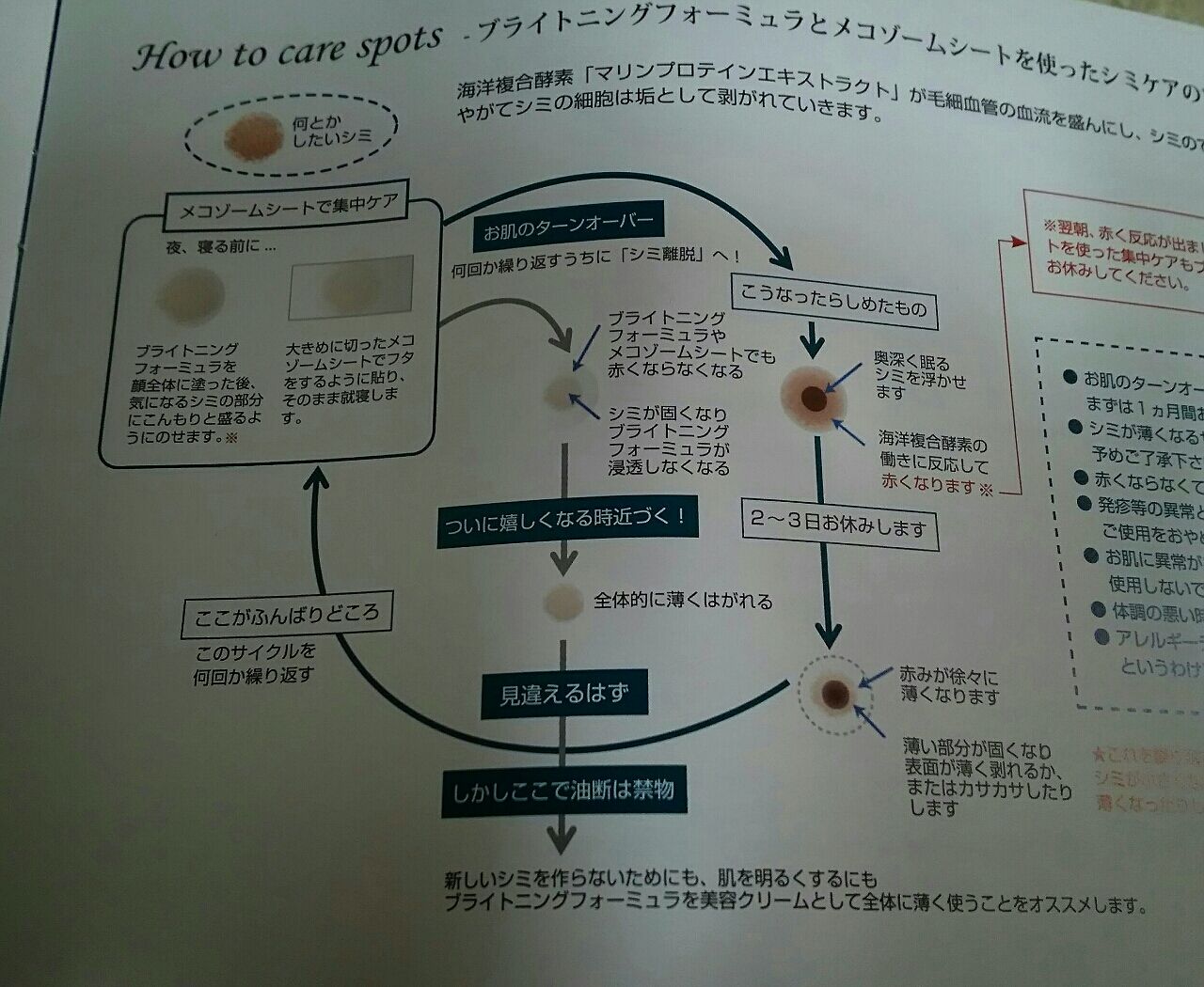 メコゾーム ブライトニングフォーミュラ 桃タロの雑記帳