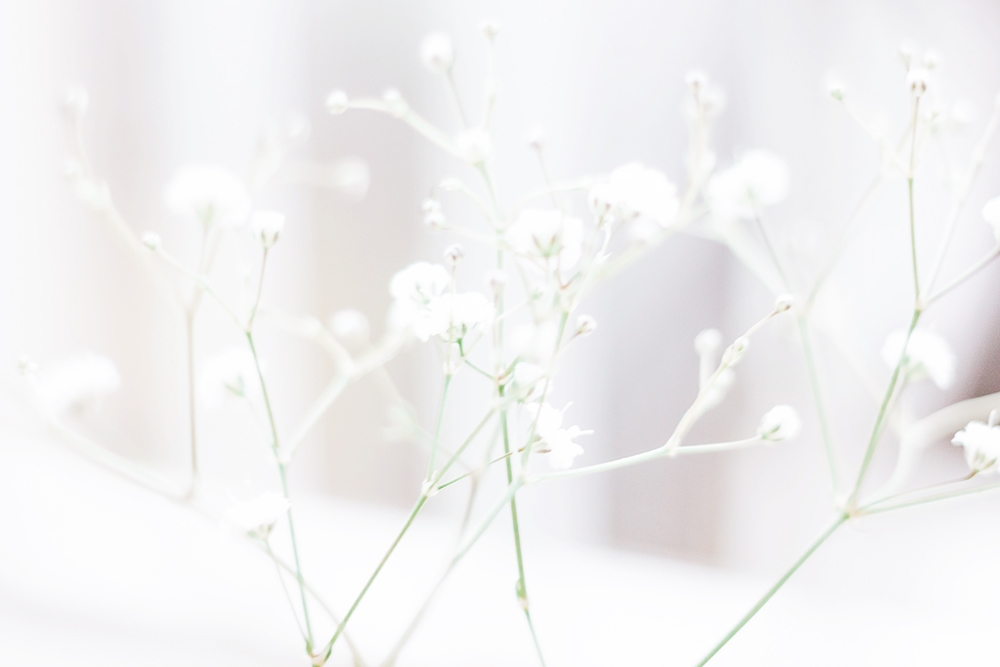 お花3