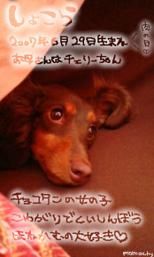 *桃の宝石箱*