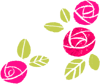 *桃の宝石箱*