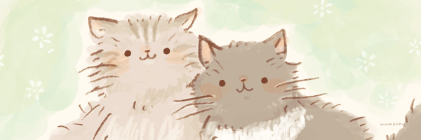 ヘッダー27