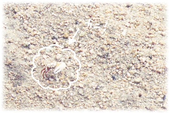 H102