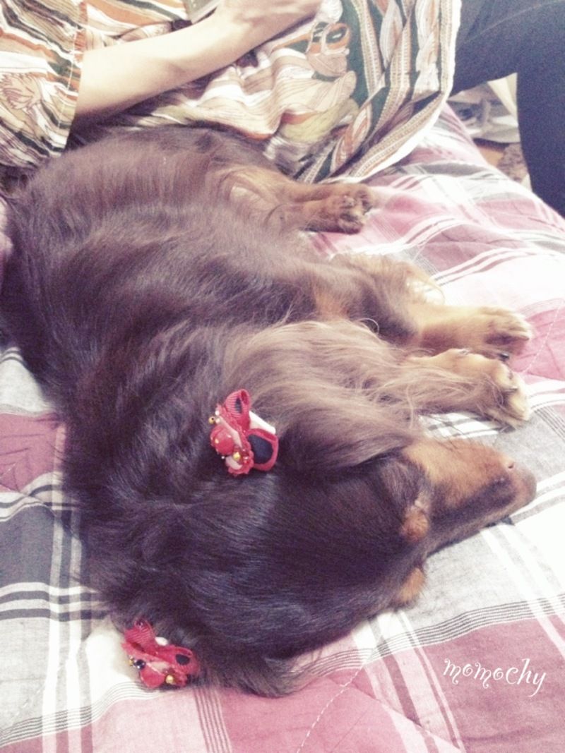 *桃の宝石箱*