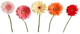*桃の宝石箱*