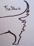 *桃の宝石箱*-091208_1416~0001.jpg